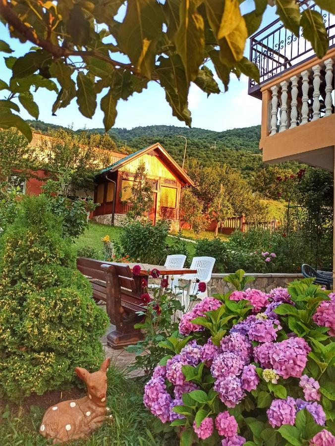 Apartment Lakeview Plužine Exteriér fotografie
