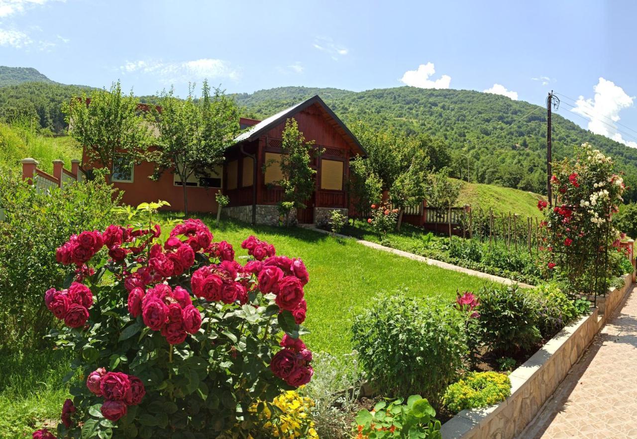 Apartment Lakeview Plužine Exteriér fotografie