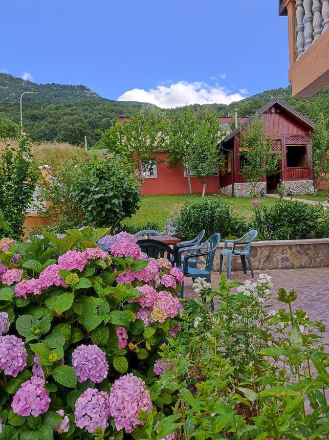Apartment Lakeview Plužine Exteriér fotografie
