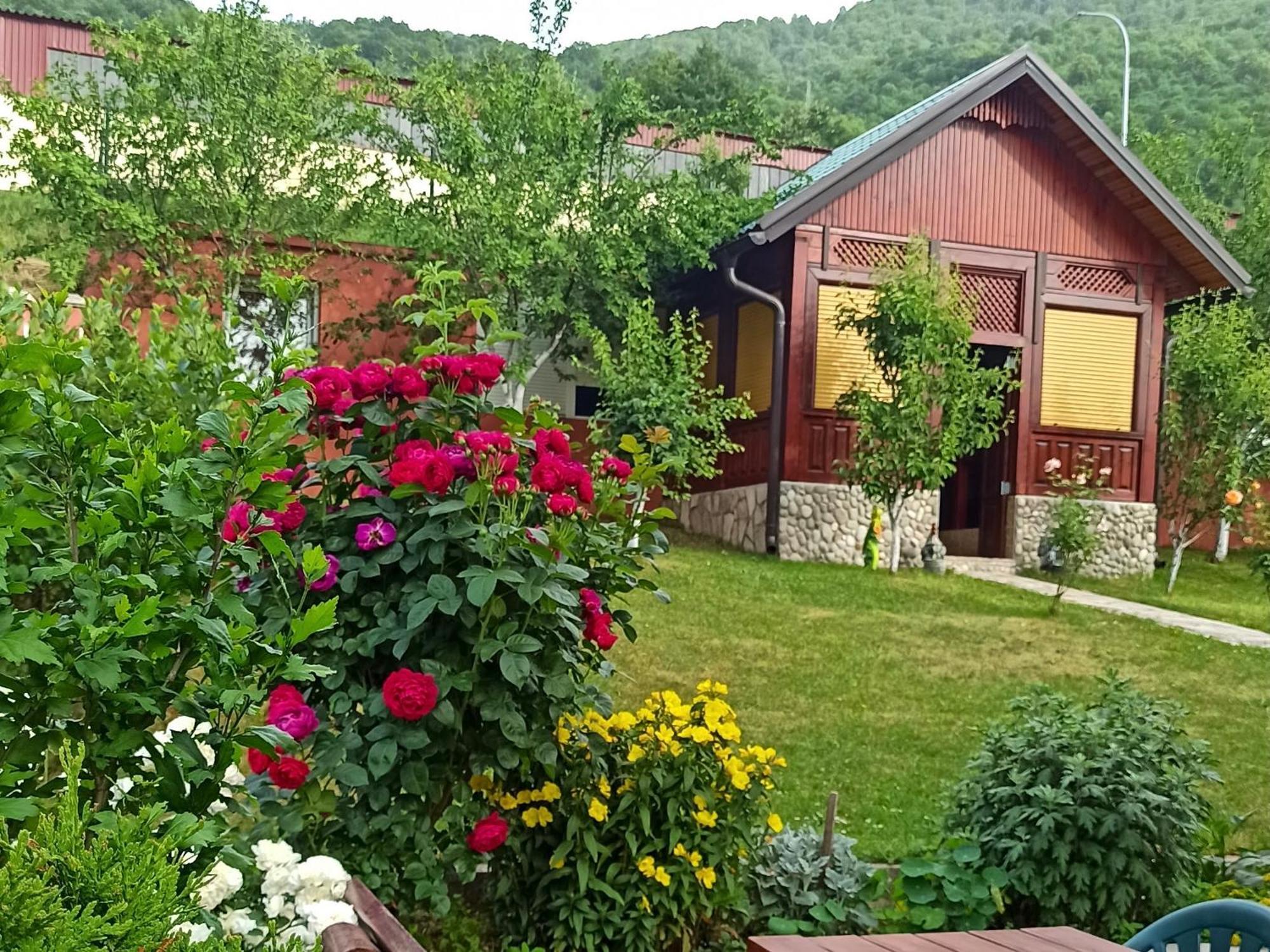 Apartment Lakeview Plužine Exteriér fotografie